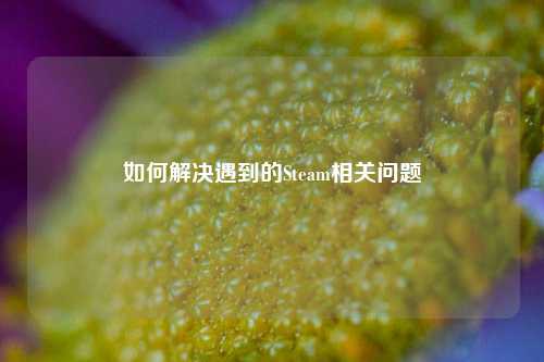 如何解决遇到的Steam相关问题