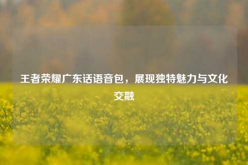 王者荣耀广东话语音包，展现独特魅力与文化交融