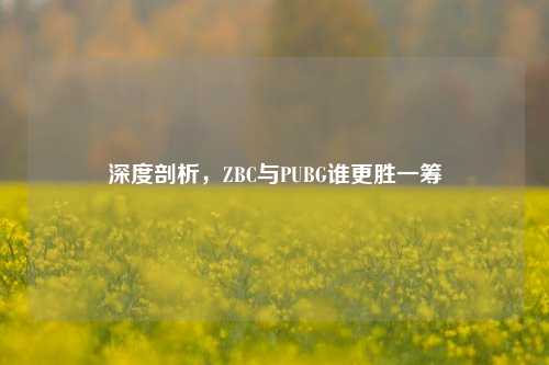 深度剖析，ZBC与PUBG谁更胜一筹