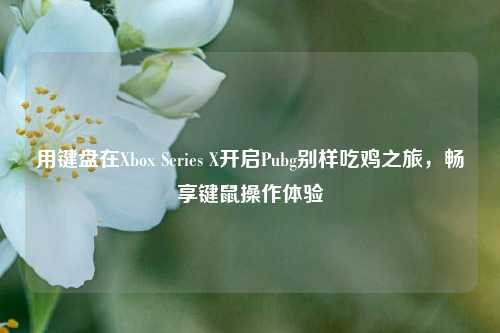 用键盘在Xbox Series X开启Pubg别样吃鸡之旅,畅享键鼠操作体验