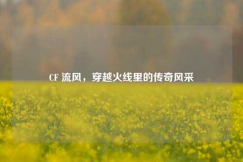 CF 流风,穿越火线里的传奇风采