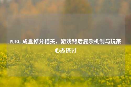 PUBG 成盒掉分相关，游戏背后复杂机制与玩家心态探讨
