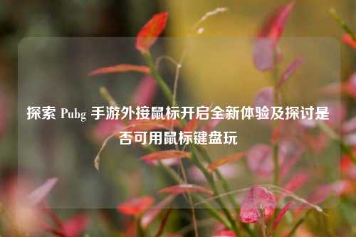 探索 Pubg 手游外接鼠标开启全新体验及探讨是否可用鼠标键盘玩