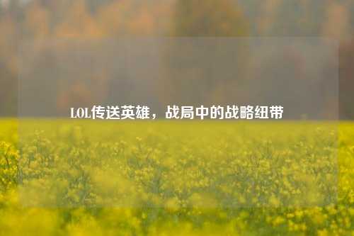 LOL传送英雄,战局中的战略纽带