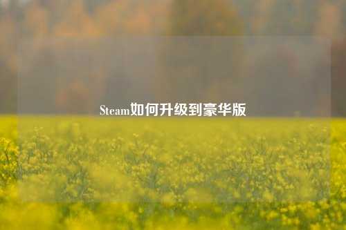 Steam如何升级到豪华版
