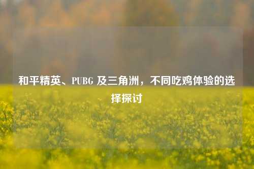 和平精英、PUBG 及三角洲,不同吃鸡体验的选择探讨