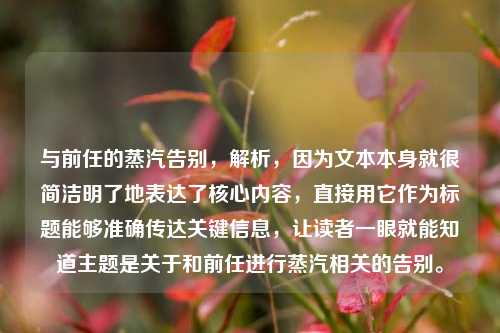 与前任的蒸汽告别,解析,因为文本本身就很简洁明了地表达了核心内容,直接用它作为标题能够准确传达关键信息,让读者一眼就能知道主题是关于和前任进行蒸汽相关的告别。