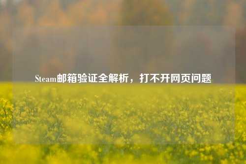 Steam邮箱验证全解析，打不开网页问题