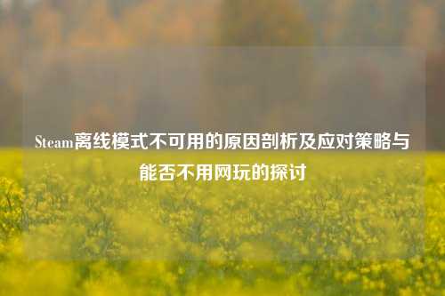 Steam离线模式不可用的原因剖析及应对策略与能否不用网玩的探讨