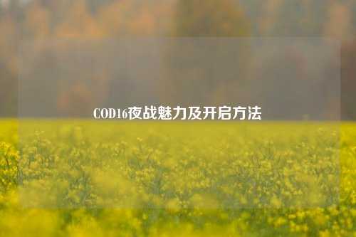 COD16夜战魅力及开启方法