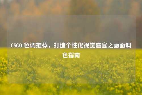 CSGO 色调推荐，打造个性化视觉盛宴之画面调色指南