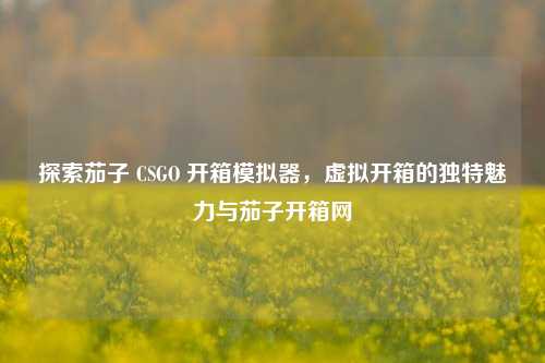 探索茄子 CSGO 开箱模拟器，虚拟开箱的独特魅力与茄子开箱网