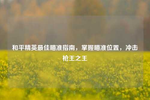 和平精英最佳瞄准指南，掌握瞄准位置，冲击枪王之王