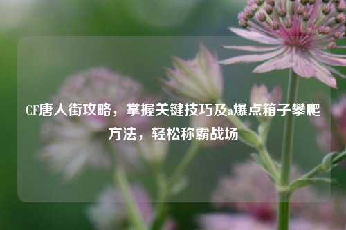 CF唐人街攻略,掌握关键技巧及a爆点箱子攀爬方法,轻松称霸战场
