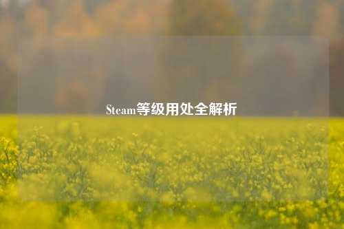 Steam等级用处全解析