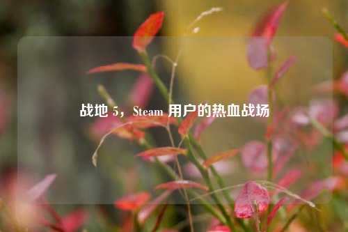 战地 5，Steam 用户的热血战场
