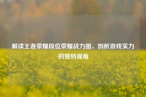 解读王者荣耀段位荣耀战力图，剖析游戏实力的独特视角