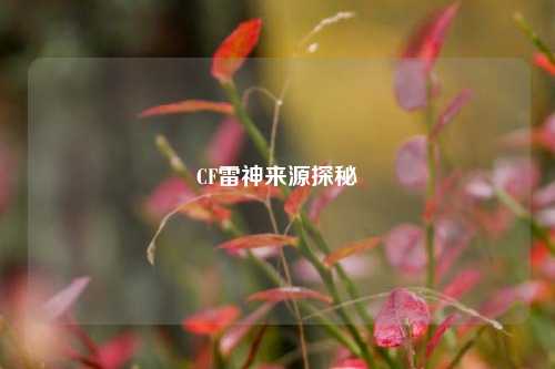 CF雷神来源探秘