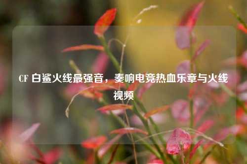 CF 白鲨火线最强音，奏响电竞热血乐章与火线视频