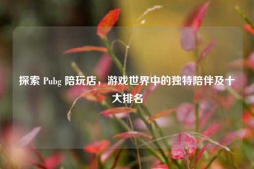 探索 Pubg 陪玩店，游戏世界中的独特陪伴及十大排名