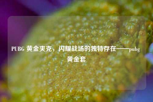 PUBG 黄金夹克，闪耀战场的独特存在——pubg 黄金套