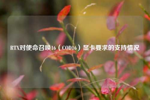 RTX对使命召唤16（COD16）显卡要求的支持情况