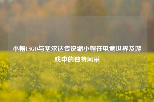 小帽CSGO与塞尔达传说缩小帽在电竞世界及游戏中的独特风采