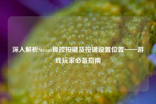 深入解析Steam操控按键及按键设置位置——游戏玩家必备指南