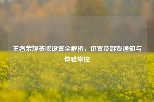 王者荣耀签收设置全解析，位置及游戏通知与体验掌控