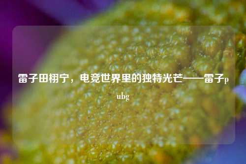 雷子田栩宁，电竞世界里的独特光芒——雷子pubg