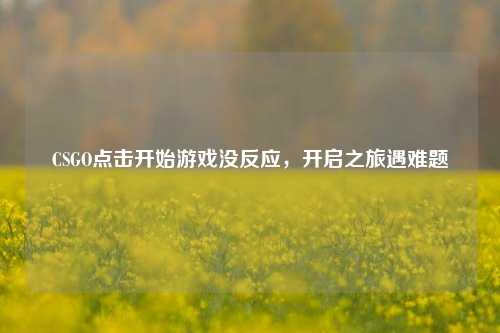 CSGO点击开始游戏没反应,开启之旅遇难题