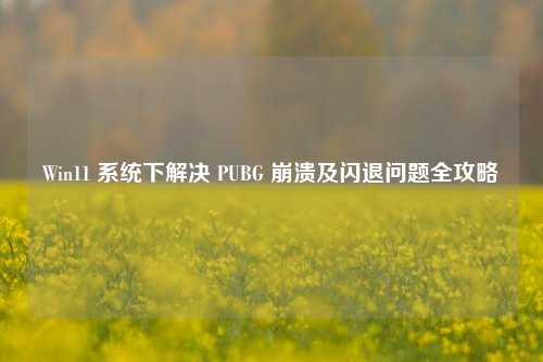 Win11 系统下解决 PUBG 崩溃及闪退问题全攻略