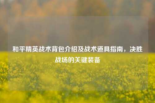 和平精英战术背包介绍及战术道具指南,决胜战场的关键装备
