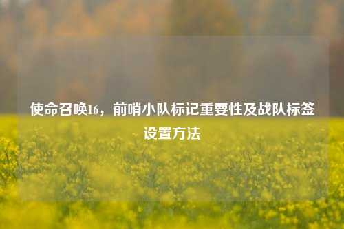 使命召唤16,前哨小队标记重要性及战队标签设置方法