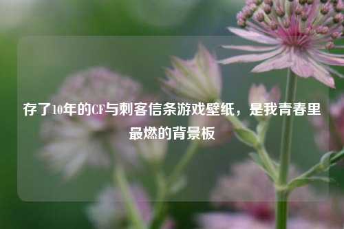 存了10年的CF与刺客信条游戏壁纸,是我青春里最燃的背景板