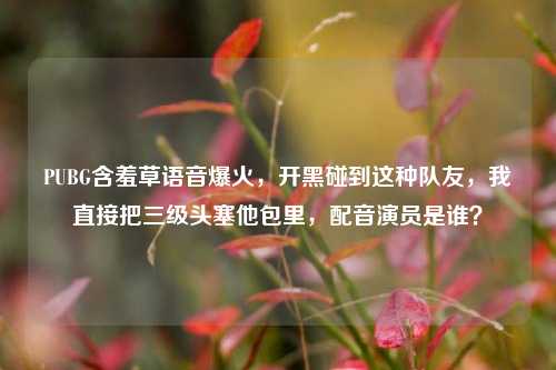 PUBG含羞草语音爆火，开黑碰到这种队友，我直接把三级头塞他包里，配音演员是谁？