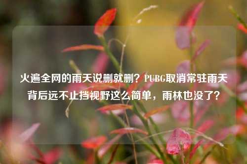 火遍全网的雨天说删就删?PUBG取消常驻雨天背后远不止挡视野这么简单,雨林也没了?