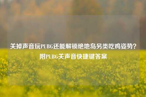 关掉声音玩PUBG还能解锁绝地岛另类吃鸡姿势?附PUBG关声音快捷键答案