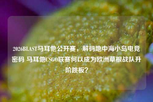 2026BLAST马耳他公开赛,解码地中海小岛电竞密码 马耳他CSGO联赛何以成为欧洲草根战队升阶跳板?