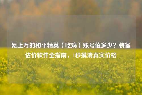 氪上万的和平精英(吃鸡)账号值多少?装备估价软件全指南,1秒摸清真实价格