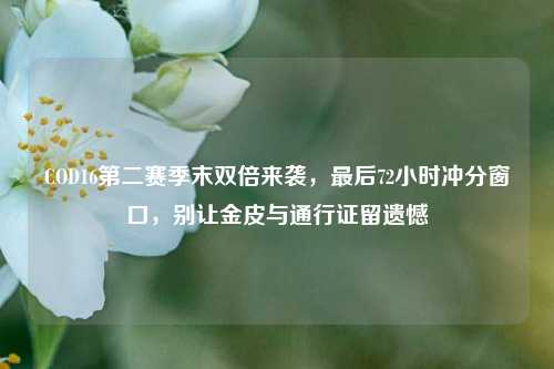 COD16第二赛季末双倍来袭,最后72小时冲分窗口,别让金皮与通行证留遗憾