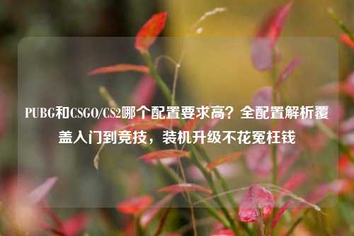 PUBG和CSGO/CS2哪个配置要求高?全配置解析覆盖入门到竞技,装机升级不花冤枉钱