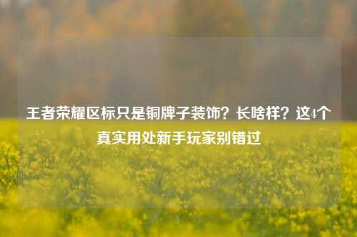 王者荣耀区标只是铜牌子装饰?长啥样?这4个真实用处新手玩家别错过