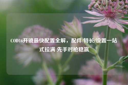 COD16开镜最快配置全解，配件/特长/设置一站式拉满 先手对枪稳赢