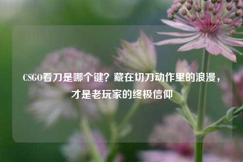 CSGO看刀是哪个键?藏在切刀动作里的浪漫,才是老玩家的终极信仰