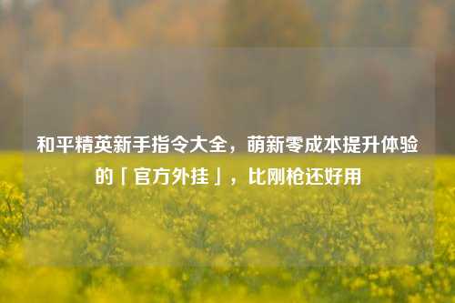 和平精英新手指令大全,萌新零成本提升体验的「官方外挂」,比刚枪还好用