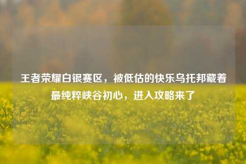 王者荣耀白银赛区,被低估的快乐乌托邦藏着最纯粹峡谷初心,进入攻略来了
