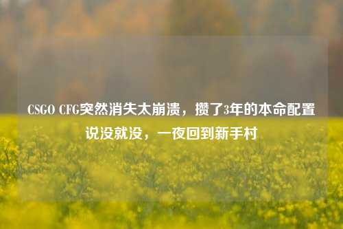 CSGO CFG突然消失太崩溃,攒了3年的本命配置说没就没,一夜回到新手村