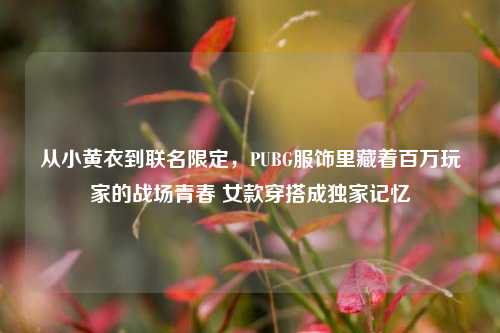 从小黄衣到联名限定,PUBG服饰里藏着百万玩家的战场青春 女款穿搭成独家记忆