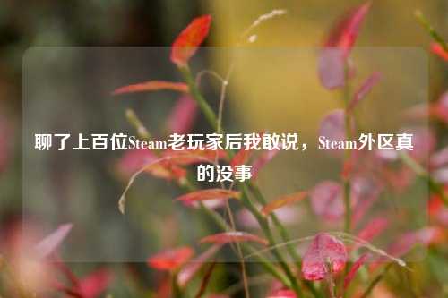 聊了上百位Steam老玩家后我敢说,Steam外区真的没事